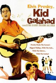 A Galahad-kölyök