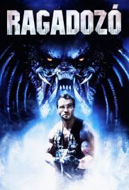 Ragadozó