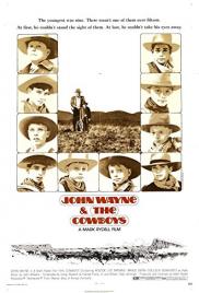 Cowboyok