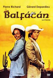 Balfácán