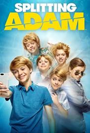 Adam és Adam