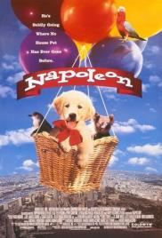 Napoleon - Kis kutya, nagy pácban