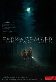 Farkasember